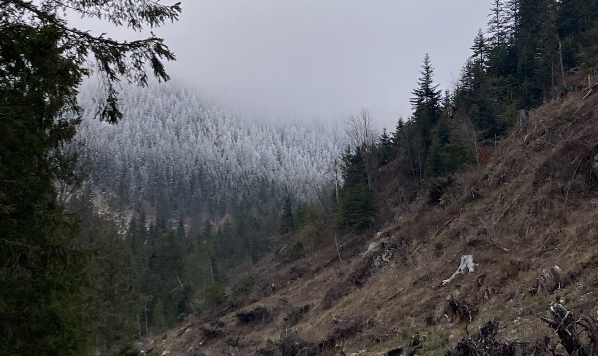 Romania countryside