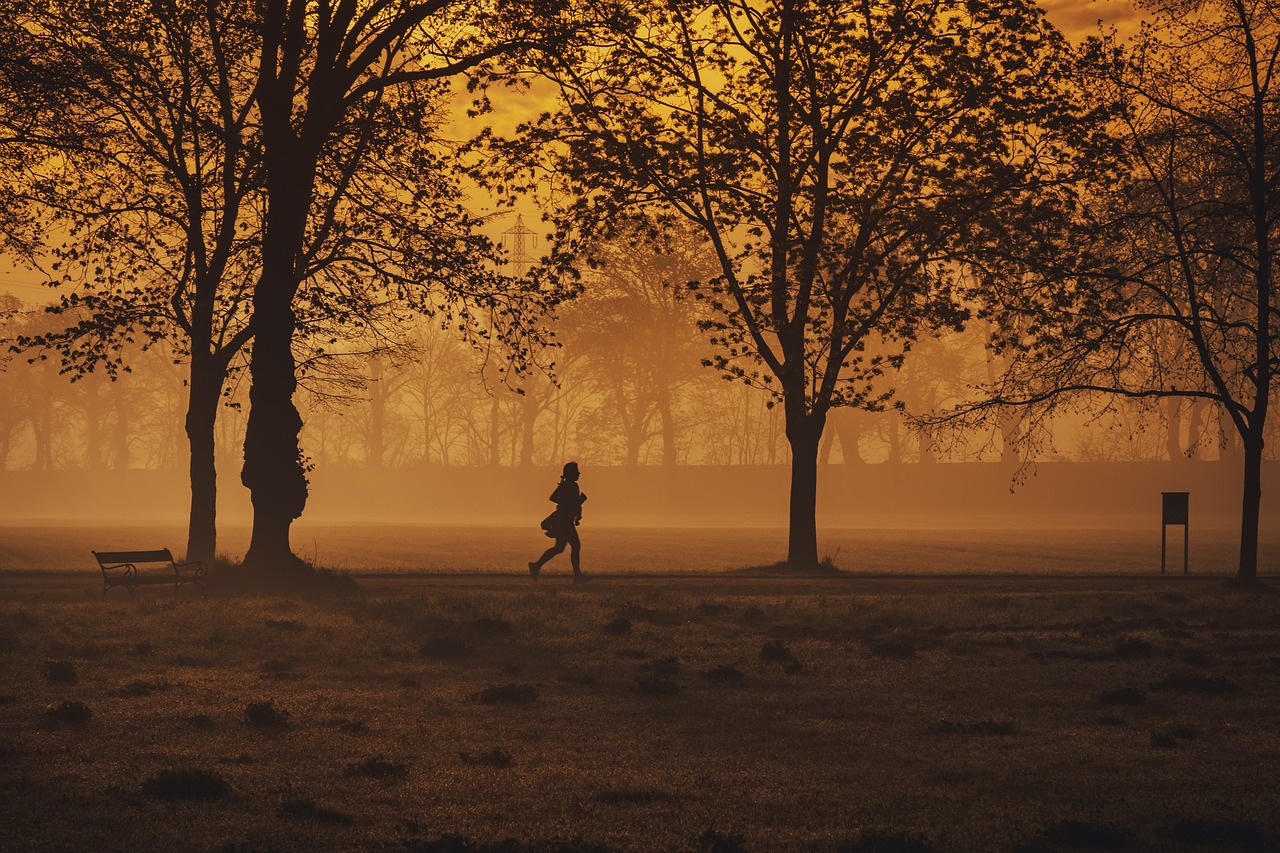 jogger, trees, park, silhouette, running, sport, sunset, nature, landscape, running, running, running, running, running